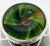 Art Nouveau Loetz Titania Silver Overlay Vase