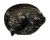 Bronze Shih Tzu Sculpture 