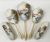 English Enamelled Dresser Set