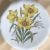George Jones / Crescent China Botanical Cabinet Plates