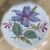 George Jones / Crescent China Botanical Cabinet Plates