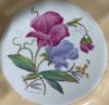 George Jones / Crescent China Botanical Cabinet Plates