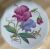George Jones / Crescent China Botanical Cabinet Plates