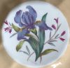 George Jones / Crescent China Botanical Cabinet Plates