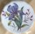 George Jones / Crescent China Botanical Cabinet Plates