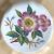 George Jones / Crescent China Botanical Cabinet Plates