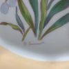 George Jones / Crescent China Botanical Cabinet Plates