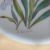 George Jones / Crescent China Botanical Cabinet Plates