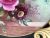 Hand Painted & Artist Signed A. Holland Wedgwood Cabinet Plate