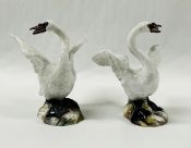 Meissen 19th Century Swans