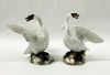 Meissen 19th Century Swans
