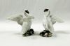 Meissen 19th Century Swans
