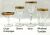 Oertel & Co. Gold Rimmed Crystal 