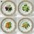 Royal Copenhagen Flora Danica Fruit Plates
