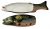 Tiffany & Co. Ceramic Fish Tureen & Platter 