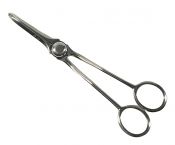 Victorian Sterling Silver Grape Scissors Dated 1884