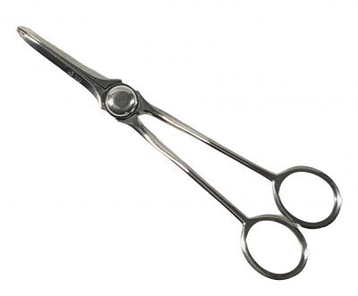 Victorian Sterling Silver Grape Scissors Dated 1884