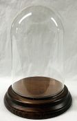 Vintage Glass Bell Jar