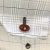 Carnelian Cufflinks