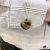 Tiger Eye Cufflinks