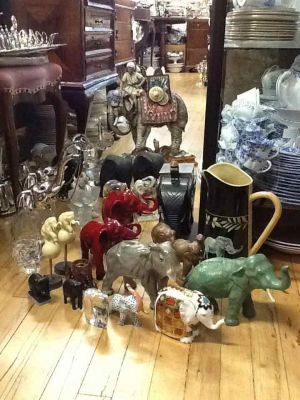 Elephants Parade From Front To Back