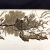 T. Furnival & Son Antique Brown Transfer Ware Platter of the 