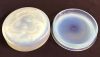 Art Deco Sabino Opalescent Glass Powder Box