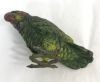 Austrian Parrot Inkwell, Cold Painted Spelter, circa 1900