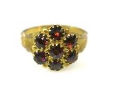 Garnet Cluster