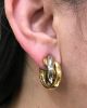 Cartier Tricolour Gold Rolling Earrings
