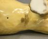 Coalport Bone China Male Lion
