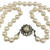 Cultured Pearl Necklace
