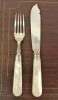 Edwardian Mother of Pearl and Silver Plate Fish Service For 12