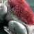 Edwardian Adie & Lovekin Ltd. Sterling Silver Monkey Pin Cushion 