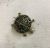 Enameled Turtle Brooch