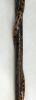 Figural Carved Hardwood Walking Stick of a Serpent Slithering