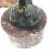 Franz Bergman Austrian Bronze Hood Ornament