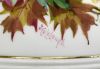Minton Bone China Tyg/Christening Presentation Cup