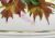Minton Bone China Tyg/Christening Presentation Cup