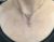Modern Diamond Necklace
