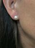 Pearl Studs