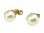 Pearl Studs