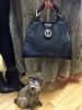 Rare Vintage Gucci Lizard Skin Handbag