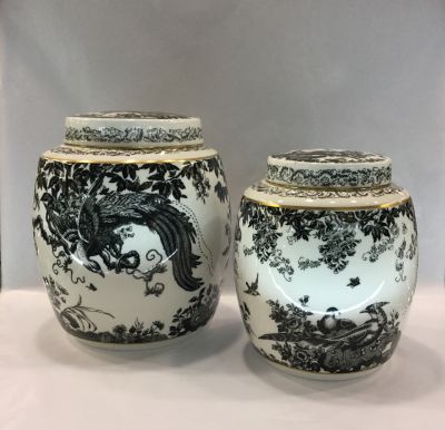 Royal Crown Derby Black Aves Ginger Jars