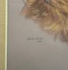 Signed Pastel Portrait of Two Dogs, Stella Grier 1968