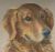 Signed Pastel Portrait of Two Dogs, Stella Grier 1968