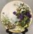 Victorian Hand Painted Cabinet Plates of Wild Flowers & Butterflies