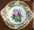 Victorian Hand Painted English Dessert Service
