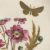 Victorian Royal Crown Derby Dessert Service