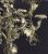 Victorian Silver Plate Presentation Candelabra Centrepiece